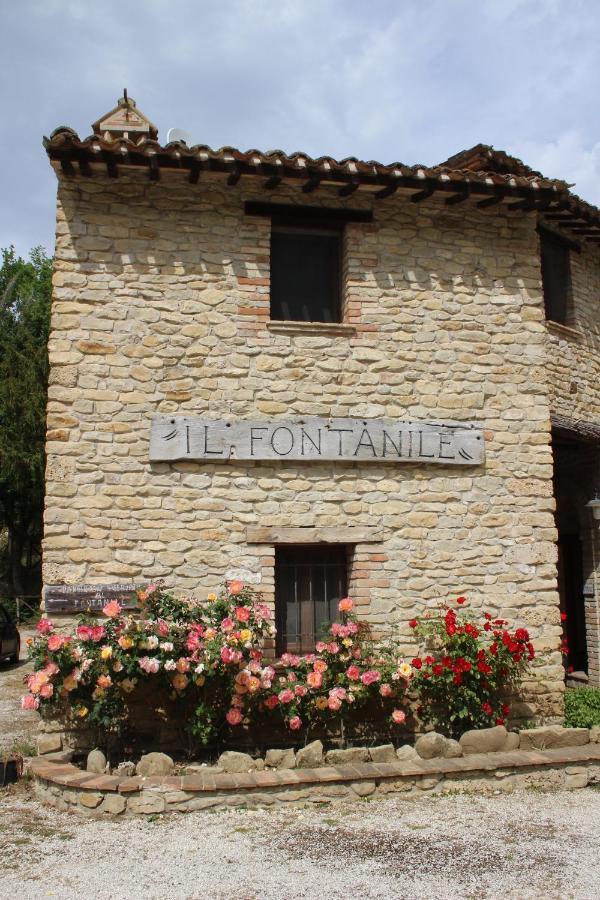 Casale Fontanile Bed And Breakfast Smerillo Dış mekan fotoğraf