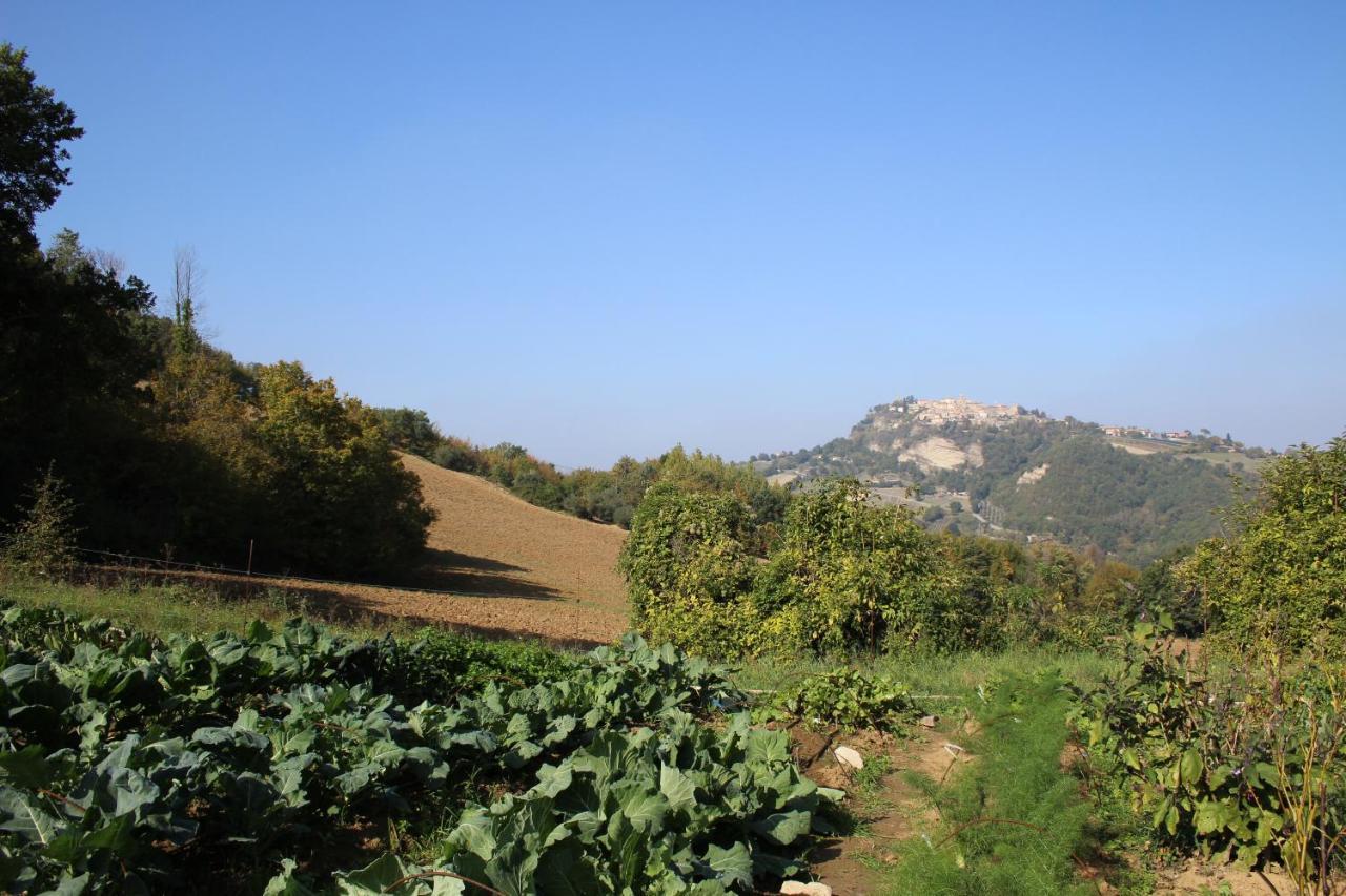 Casale Fontanile Bed And Breakfast Smerillo Dış mekan fotoğraf